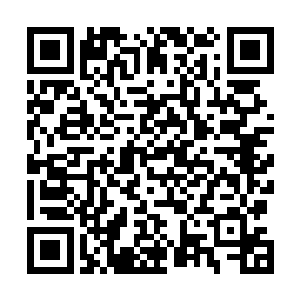 以自己一分的力量引导十分百分乃至更多能量晶石的力量二维码生成