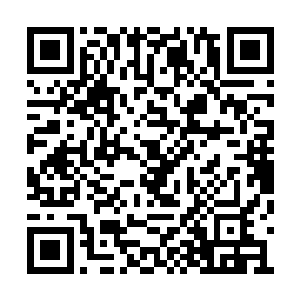 以至于剩下还活着的鬼物竟是再无一鬼挡他去路二维码生成