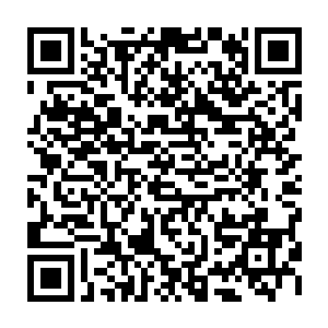 以至于包泽涵都有些怀疑先前他获得的关于陆为民的风格传言是不是有异了二维码生成