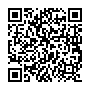 以至于炼骨族深入内陆竟然也没有断了后备资源二维码生成