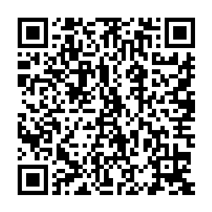 以至于这套当时十分喜欢的迷彩装只能在放假的时候穿起来美上几天二维码生成