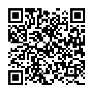 以至于这片区域中连雾影千幻大阵的黑雾都被驱离许多二维码生成