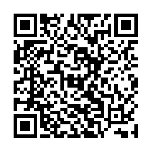 以萧晨现在的修为恐怕连第一招青龙出海都施展不出来二维码生成