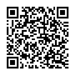 以萧老几人的眼力自然是一眼就能看出这展柜的用料乃是乌木二维码生成