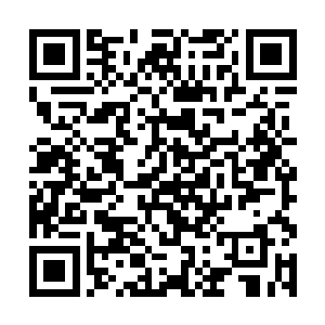 以这妖皇投影的实力也不会如此轻易就败在楚旬手下二维码生成