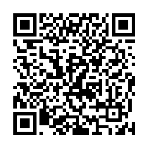 以防御出色享誉世界的他居然会有骂别人是乌龟壳的时候二维码生成
