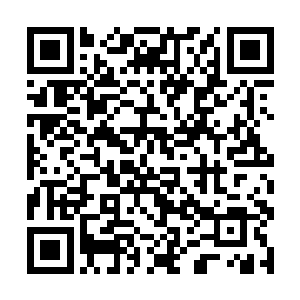 以陶家为首的联盟整体势力已经完全强过我们龟族了二维码生成