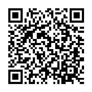 以风天翔第三境界初期使用的风云谣的确可以抵挡这样的一拳二维码生成