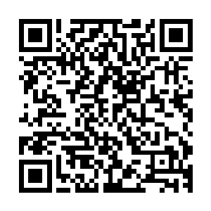 以魏正安一个税务局局长的薪水怎么可能买得起这么大的房子二维码生成