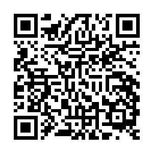 以龙傲天的神识的隐密程度基本上可以说是没有人可以察觉的到二维码生成