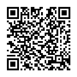 以OPPA现在的情况就算不跳舞都要准备一两个月吧二维码生成