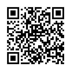 价值数千万生存点的毁灭者800型号机器人二维码生成