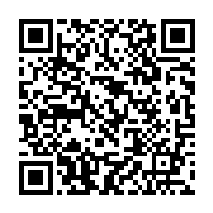任何一个人若是一醒来发现自己变成了一个全身僵硬二维码生成