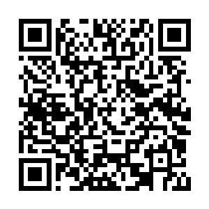 任何一个具备正常逻辑思维能力的碳基智慧生命二维码生成