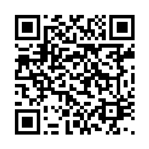 任何一个相同的人都能够踩死的蚂蚁二维码生成