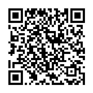 任何一个觉醒者的能力都是自己压箱底的保命底牌二维码生成