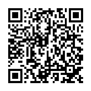 任何一名长老会成员实际上都有掌控一方族务的影响力二维码生成