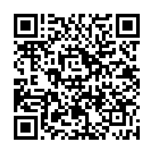 任何人想要进入朱雀中学做老师都会有三个月的考核期二维码生成