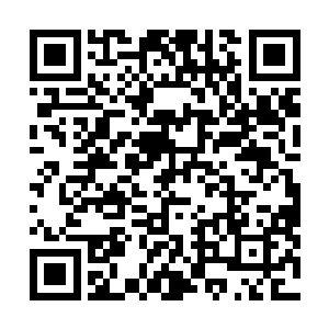 任何想要生命能量的势力都不会放过这么一块肥美的鲜肉二维码生成