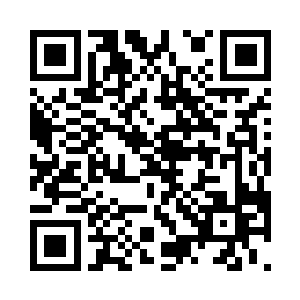 任何生物都会按照所处的环境进行进化二维码生成