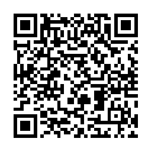 任何空气之中的波动都自然而然就被他的精神力感知得到二维码生成