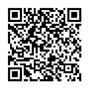 任何节约时间成本的选项对于苏凡来说都是一个巨大的帮助二维码生成