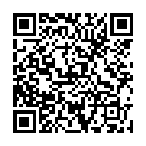 任何这一带的存在都在那数十个大能的联手下死去二维码生成