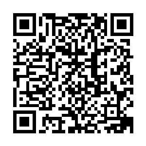 任务剧情介绍那一栏自动发生了变化……原主的名字竟然变成了二维码生成
