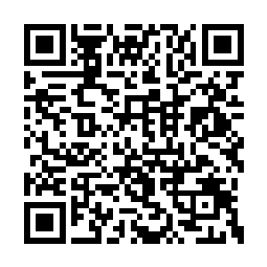 任由梁天成再大声的咆哮也都仿佛没有听到一般二维码生成