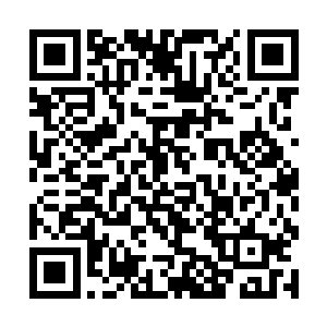 任由那道痛彻心扉的伤口血淋淋地暴露在两人的面前二维码生成