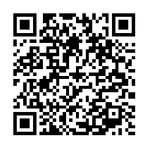 任谁都会以为是吴虎臣被那位美丽的学姐给追求了啊二维码生成