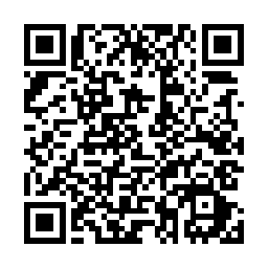 任那一干密密麻麻的触须砸落在玉成子演化的天空之门上二维码生成