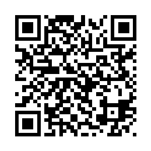 仿佛一头通灵的白虎没入虚空不见二维码生成