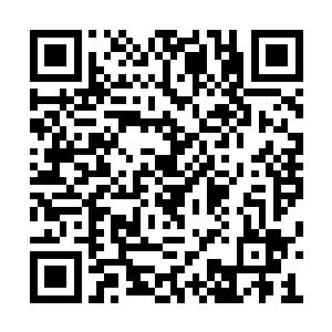 仿佛一点点对他爱的怀疑都是对自己骄傲的亵渎二维码生成