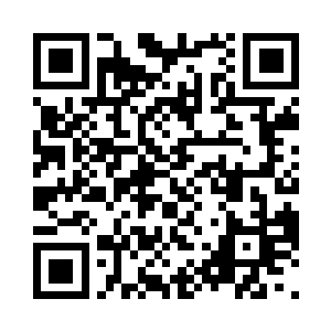 仿佛丁长生成了她唯一可以信得过的人二维码生成