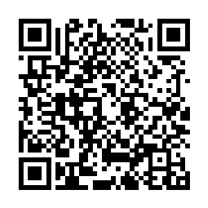 仿佛不曾想到张潇晗心里竟然真的打着这么龌龊的主意二维码生成