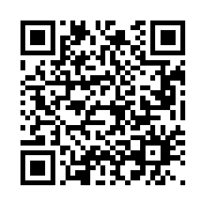 仿佛与范筱梵真的是难得相逢的故人二维码生成
