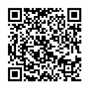 仿佛丝毫不担心自己的丈夫会打输或者受伤一般二维码生成