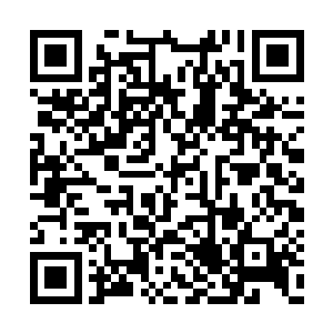 仿佛只是让他们的死相变得稍微好看一点点而已二维码生成