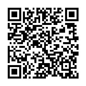 仿佛唯有伸向外面的天空才能滋养到想要的雨露二维码生成