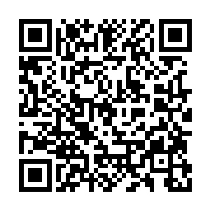 仿佛完全没有看到那两个扒手投来的警告的目光二维码生成