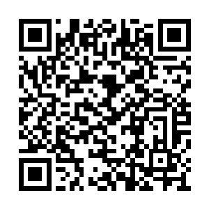 仿佛就是死神挥动了手里的大镰刀开始收割生命二维码生成