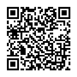 仿佛就是燕王府邸中人一下子就分家十几二十处一般二维码生成