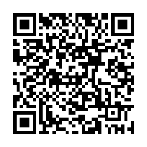 仿佛就连这可以抵挡道尊圆满强者全力出手的禁制二维码生成