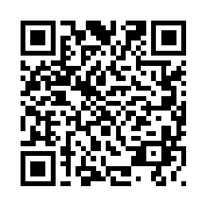 仿佛希望从杨辰脸部表情看出什么二维码生成