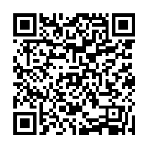 仿佛所有厄运都在白小鹿踩到地雷的那一刻被消耗殆尽二维码生成