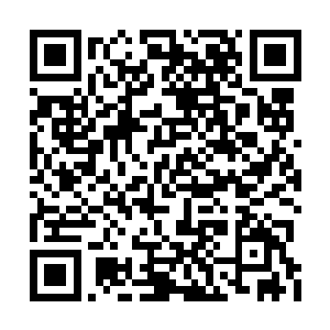 仿佛是在问他怎么会连自己的爷爷和弟弟都认识二维码生成