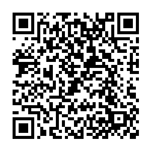 仿佛是形成了一股恐怖的太阳风暴连绵不绝的涌向迎面而来的剑芒二维码生成