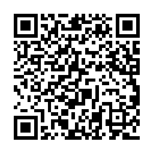 仿佛是被龙羽此刻身上所展示出来的气势所影响二维码生成