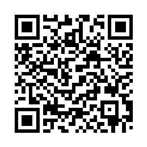 仿佛有人欠了菲德尔家族的钱一般二维码生成